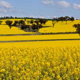 Q&A with Spencer Wells, author of Pandora’s Seed